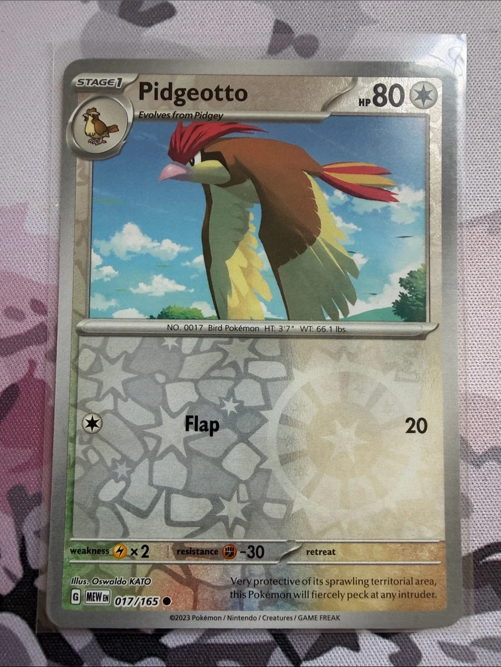 Pidgey, Pidgeotto & Pidgeot Evolution Lot | 5 Cards | Reverse Holo | ✨5/$25✨